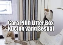 Cara Pilih Litter Box Kucing yang Sesuai untuk Rumah Anda